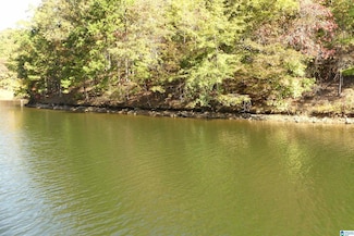 Lot 106 River Birch Rd, Wedowee, AL 36278