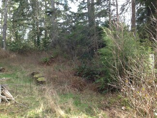 55 Willaview Ln, South Bend, WA 98586