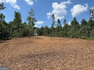 LOT 4 Happy Hollow Rd, Roopville, GA 30170