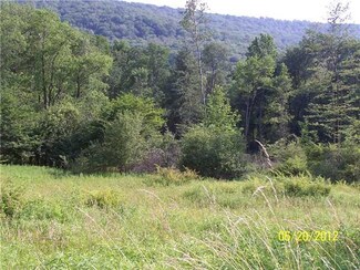 0 Bucktooth Run Unit B410814, Salamanca, NY 14779