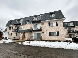 1307 N Baldwin Ct Unit 1B, Palatine, IL 60074