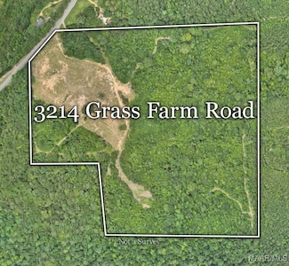 3124 Grass Farm Rd, Equality, AL 36026
