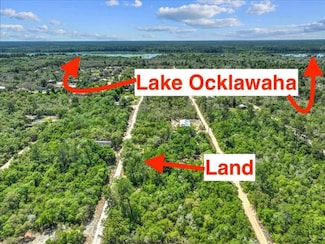 0 NE 233rd Place, Fort Mc Coy, FL 32134