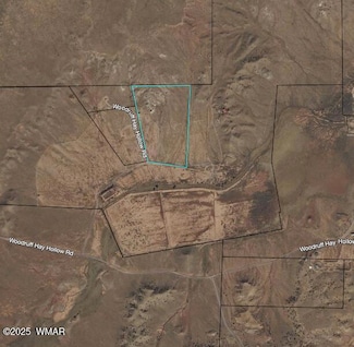 9312 Woodruff Hay Hollow Rd, Snowflake, AZ 85937