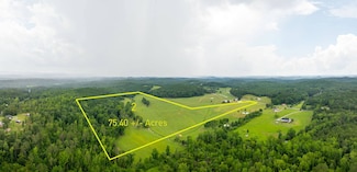 0 Pleasant Valley Rd Unit 2 11538398, Jacksonville, AL 36265