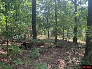 002-10918-000 Sycamore Tree Ln, Lakeview, AR 72642