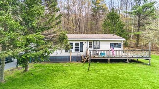 208 Mccarthy Rd, Schenevus, NY 12155