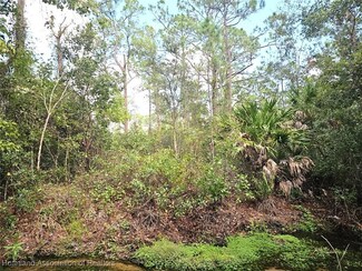 1016 Hyacinth Ave, Sebring, FL 33875