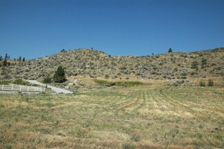 0 Lightning Place Unit 776881, Methow, WA 98834
