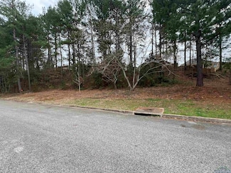 TBD Oak Creek Ridge Dr, Longview, TX 75605