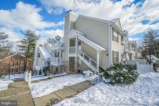 2917 S Woodley St Unit B, Arlington, VA 22206