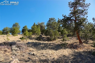 0 County Road 5 Lot 1 Unit 8726398, Canon City, CO 81212