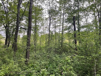 XXX Crust Rd, Brainerd, MN 56401