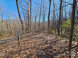 0 Libbies Ln Unit 6, Waynesville, NC 28786