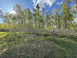 tbd Halter Trail, Oak Creek, CO 80467