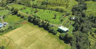 29-2612 Kaiwiki-Homestead Rd, Hakalau, HI 96710
