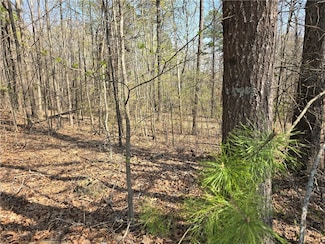 759 Durham Brown Rd, Seneca, SC 29678