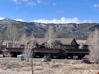 530 Redcliff Cir Unit F203, Ridgway, CO 81432