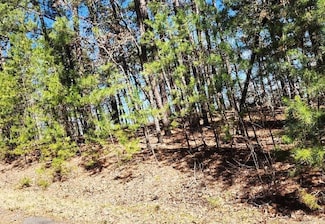 32 Dedalera Way Unit Block 4 LOT 20, Hot Springs Village, AR 71909