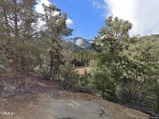 2209 St Anton Dr, Pine Mountain Club, CA 93225