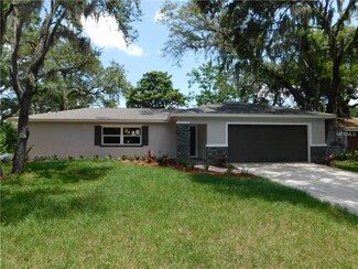 5212 Serena Dr, Temple Terrace, FL 33617