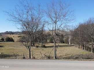 Tbd Creasey Creek Rd, Jonesborough, TN 37659