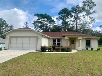 8429 N Tiny Lily Dr, Citrus Springs, FL 34434
