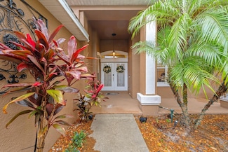 2539 Centennial Falcon Dr, Valrico, FL 33596