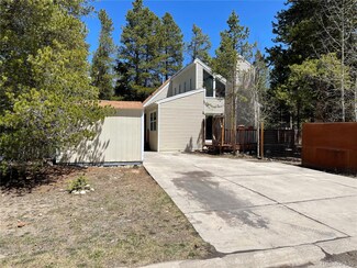 1820 Silver Eagle Ct, Leadville, CO 80461