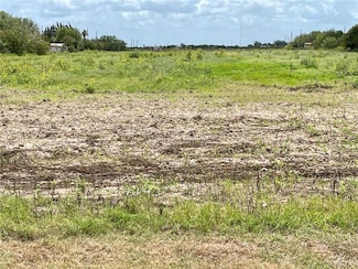 TBD Fm 1015 Rd, Progreso, TX 78579