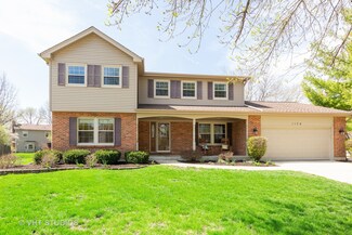 1154 Banyon Ct, Naperville, IL 60540