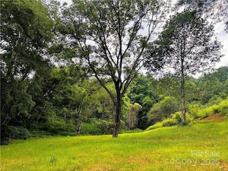 846 Joe Shoemaker Rd, Vilas, NC 28692