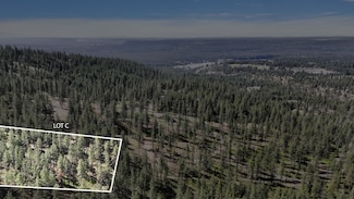 NKA Lower Weaver Way Lot C, Deer Park, WA 99006