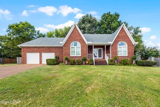 49 Vistaview Cove, Jackson, TN 38305