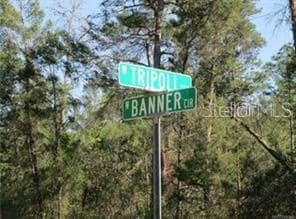 6606 N Tripoli Terrace, Dunnellon, FL 34433