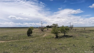 39320 Truckton Rd, Rush, CO 80833