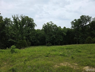 0 Mark Peterson Dr, Hickory Grove Township, MO 63390