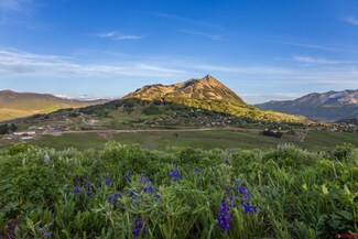 F20 Prospect Dr, Mt. Crested Butte, CO 81225