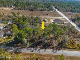 0 Dusky Warbler Rd Unit 2250971, Weeki Wachee, FL 34614