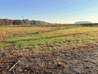 0 County Road 41, Danville, AL 35619