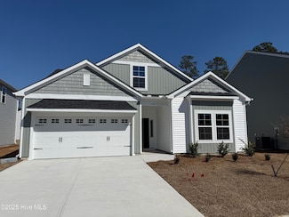4305 Parsons Mill Dr Unit Lot 194, Castle Hayne, NC 28429