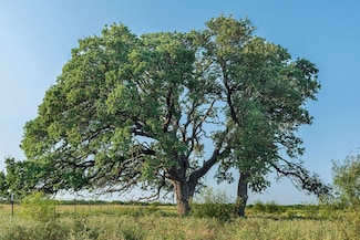 350 County Rd 146, Melvin, TX 76858