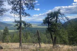 NNA Grizzly Gap Rd, Naples, ID 83847