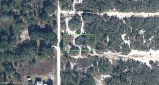 2950 W Redondo Rd, Avon Park, FL 33825