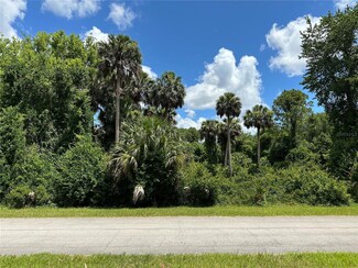 820 Paradise Blvd, Georgetown Cove, FL 32139