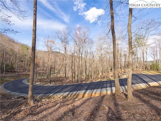 Lot 47 Wildcat Wilderness Pkwy, Deep Gap, NC 28618