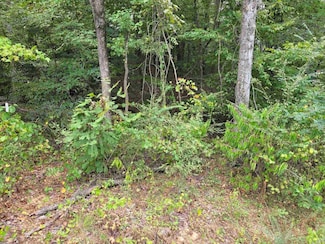 23 Hawthorne Ln, Savannah, TN 38372