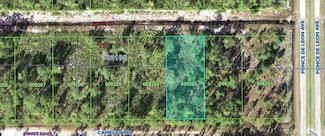 406 Camellia Dr, Lake Wales, FL 33855