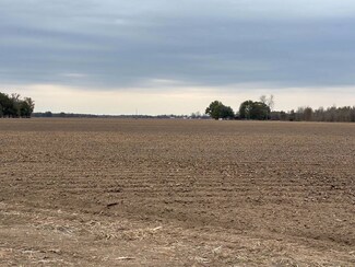 888 Louisiana 4, Newellton, LA 71357