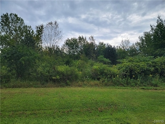 Lot 11 Whistle Stop Ln, Elbridge, NY 13060